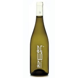 Bellori Verdejo 